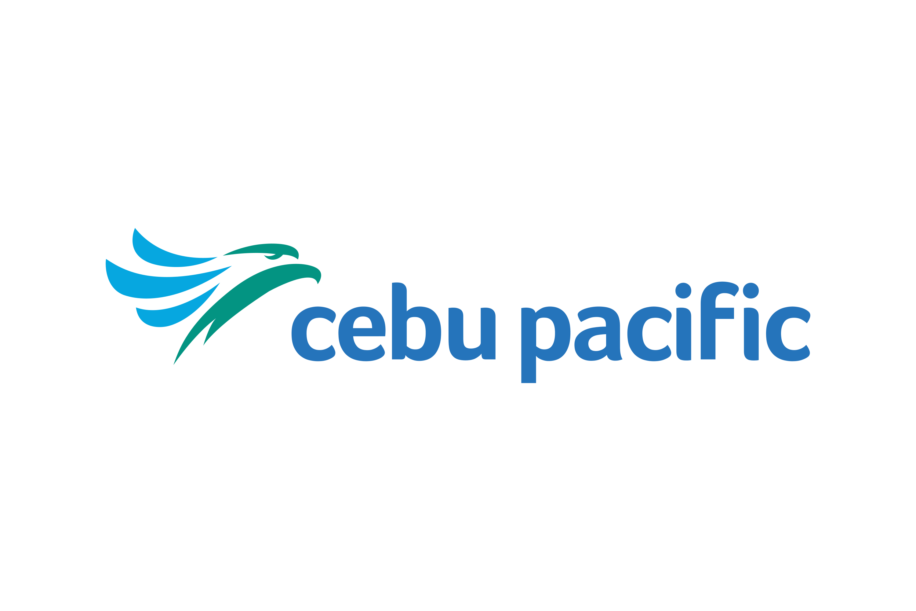 Cebu Pacific Airline